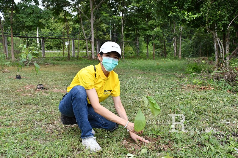 20210526-Tree planting dayt-075.JPG